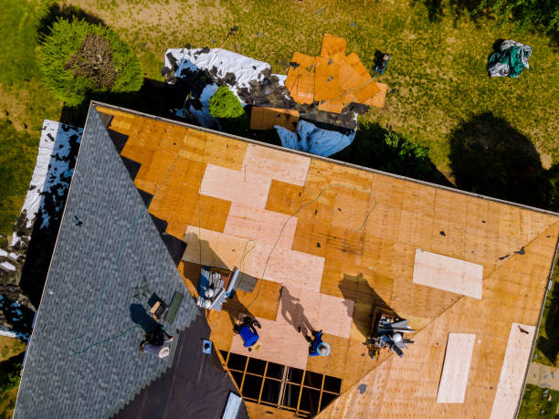 Best Roof Maintenance Services  in Bryan, TX